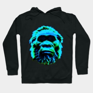 Neanderthal head Hoodie